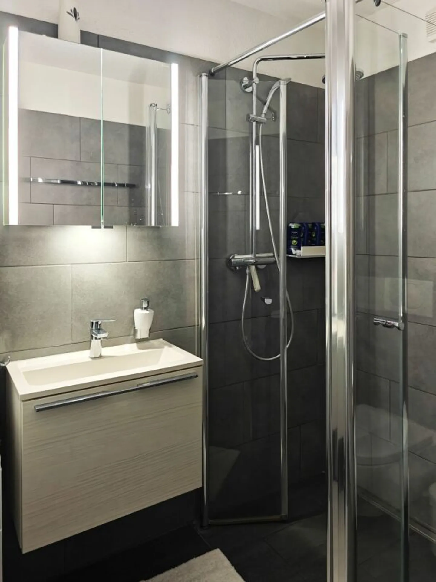 Appartement 4.5 pièces au rez-de-chaussée - Photo 10 sur 13