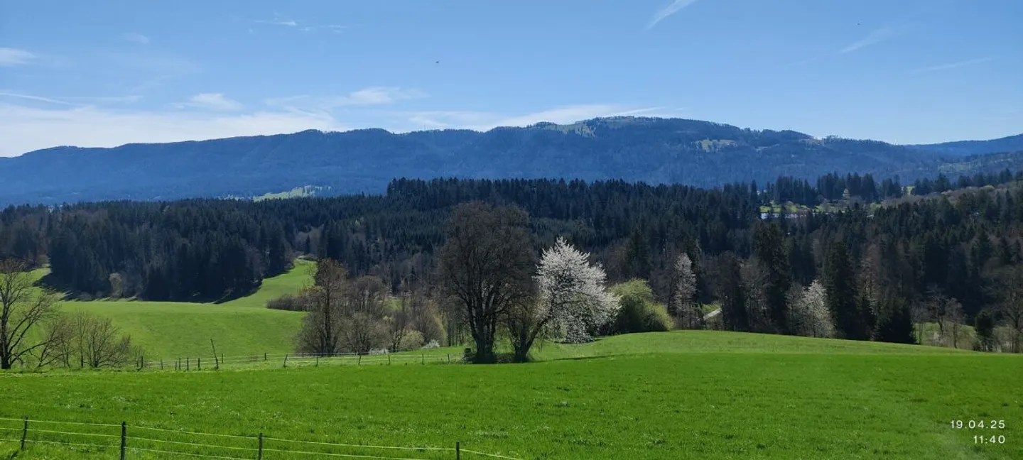Charmantes Jurahaus mit Potenzial - Foto 3 von 8