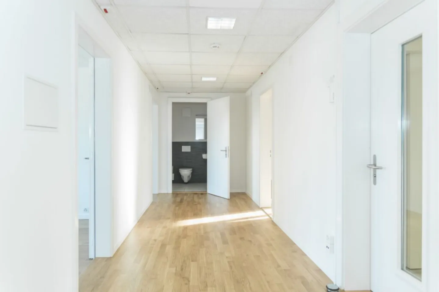 Helle Bürofläche mit Weitblick über Luzern - befristet bis Ende 2028 - Foto 2 von 7