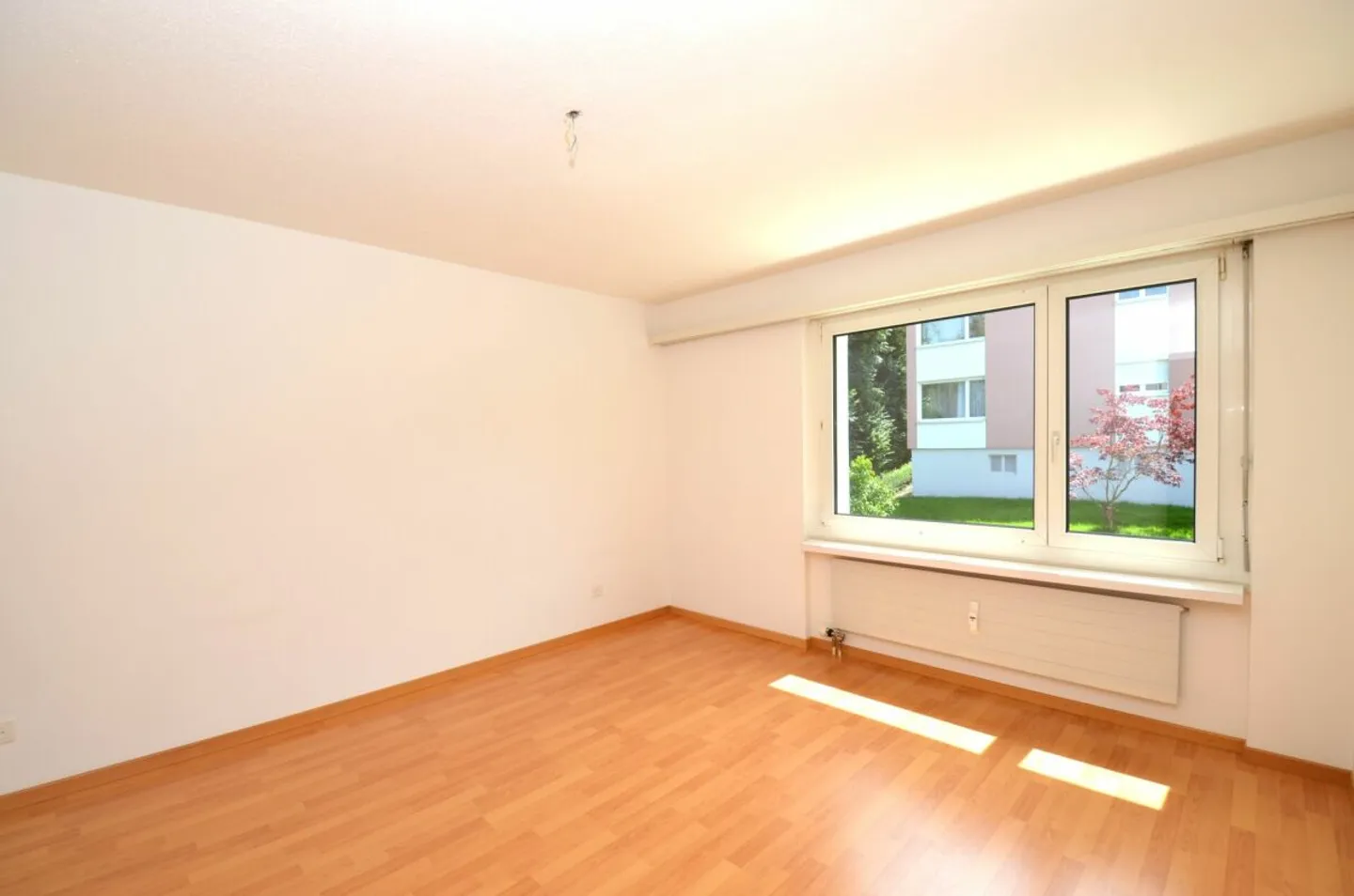 Felice di tornare a casa - Foto 11 di 12