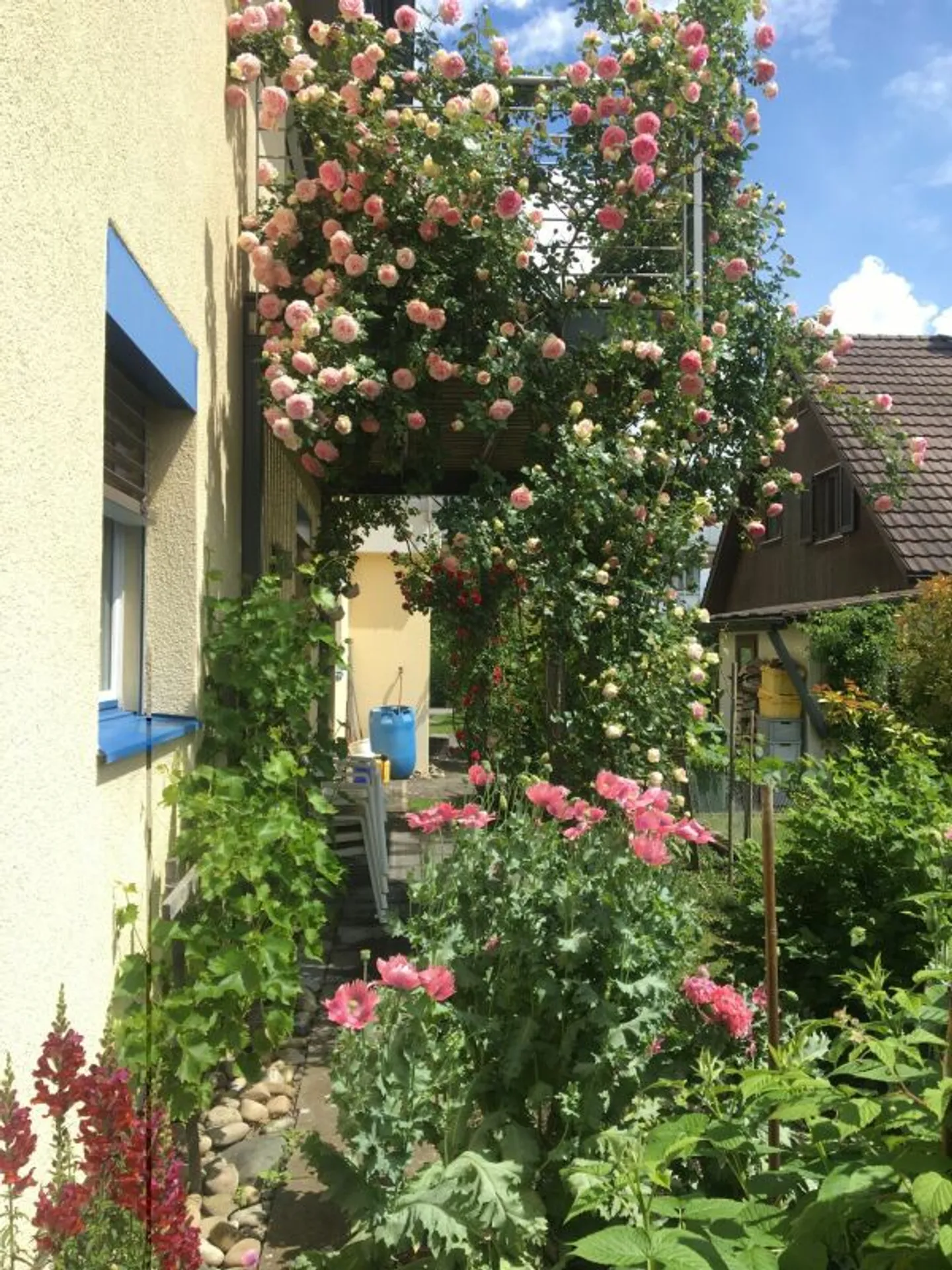 Vivere come in una casa unifamiliare - Foto 7 di 9