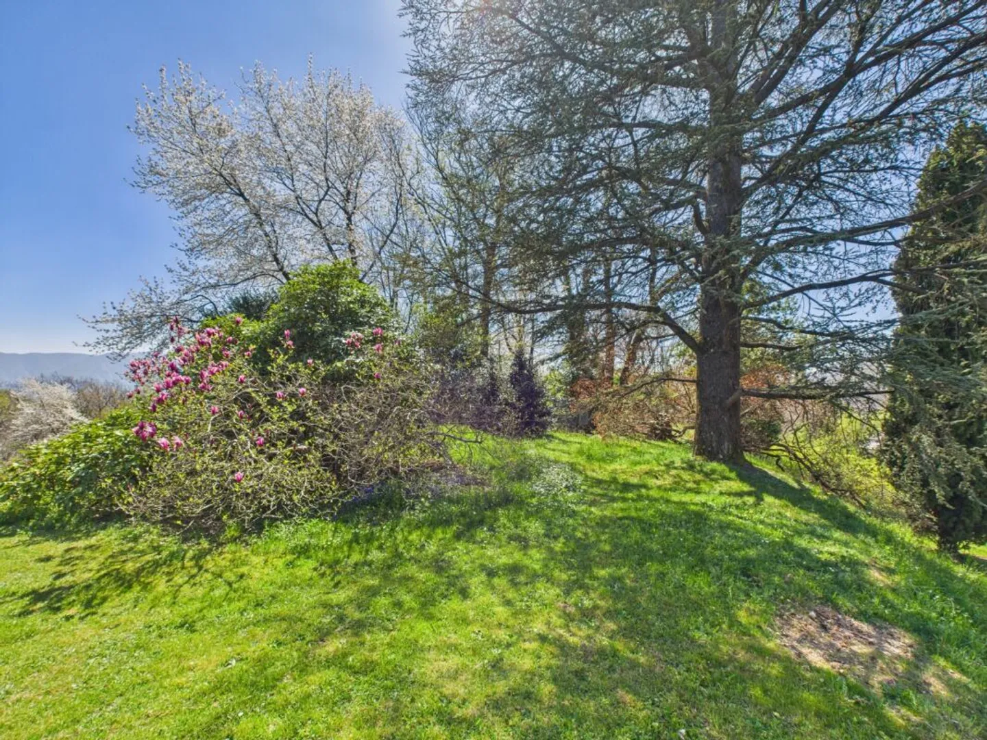 Build Your Dream Home in Nature - Photo 10 of 10