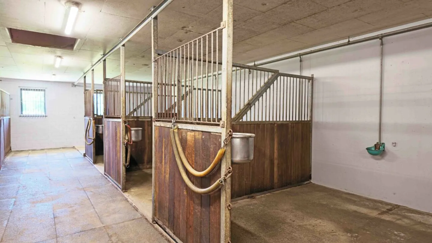 Locataire recherché ! Halle d'équitation Burgdorf incluant le manège - Photo 11 sur 13