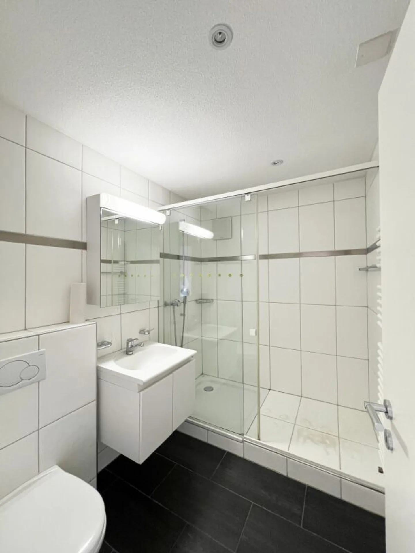 Family Apartment with Reuss View - Photo 2 of 11