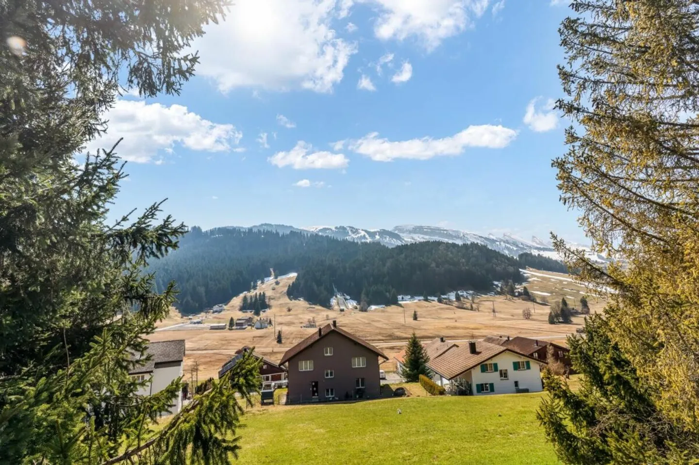 Vivre avec vue sur la montagne à Wildhaus - Photo 10 sur 10