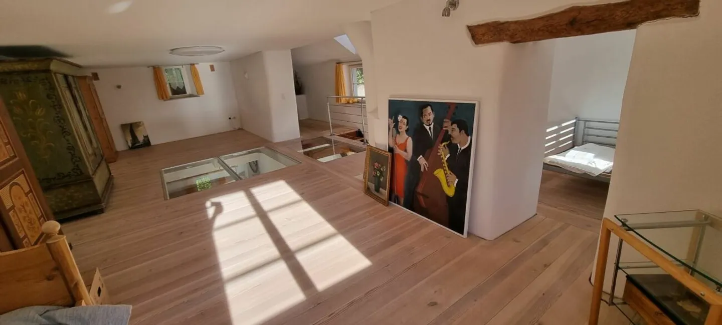 Fully Renovated Multi-Family House with 4 Residential Units - Photo 3 of 13