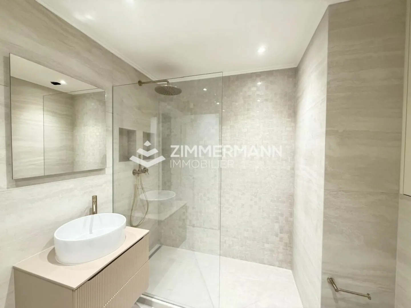 Superbo appartamento di 3 stanze nel cuore di Malagnou! - Foto 3 di 5