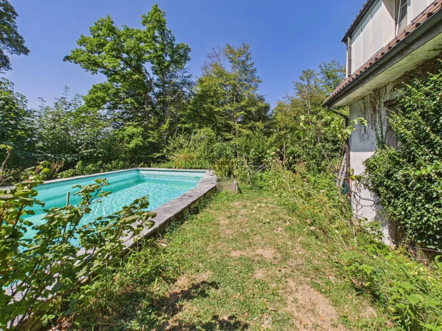 Living in a Clay House on Uetliberg - Photo 11 of 12
