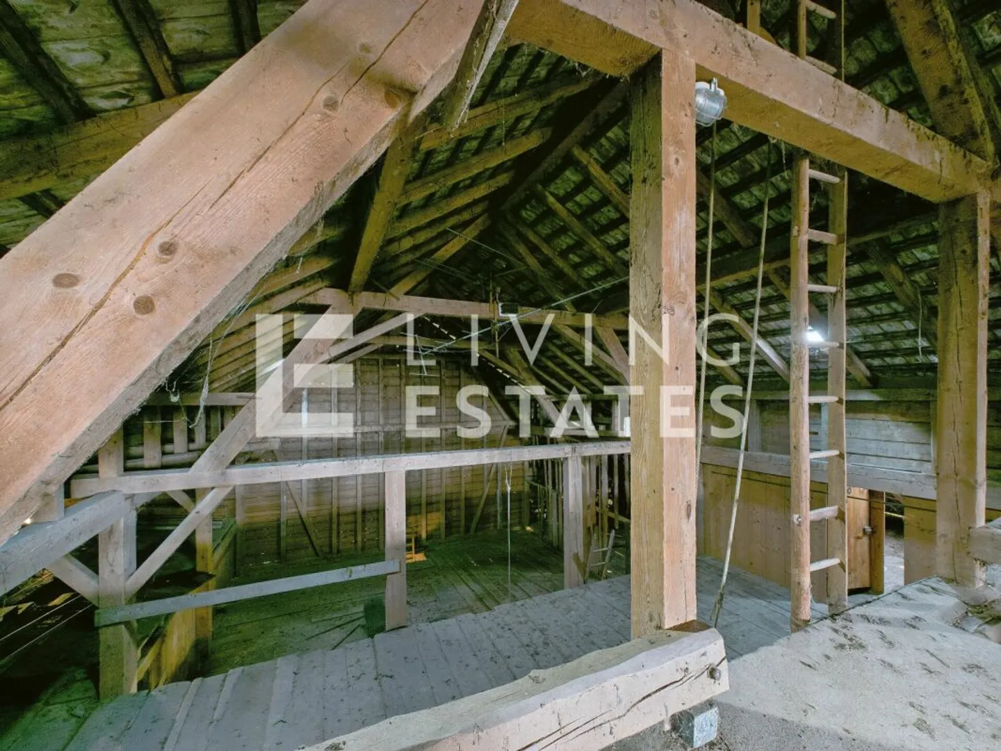 PLATZ FÜR MENSCH UND TIER - LANDLEBEN MIT POTENZIAL - Foto 8 von 13