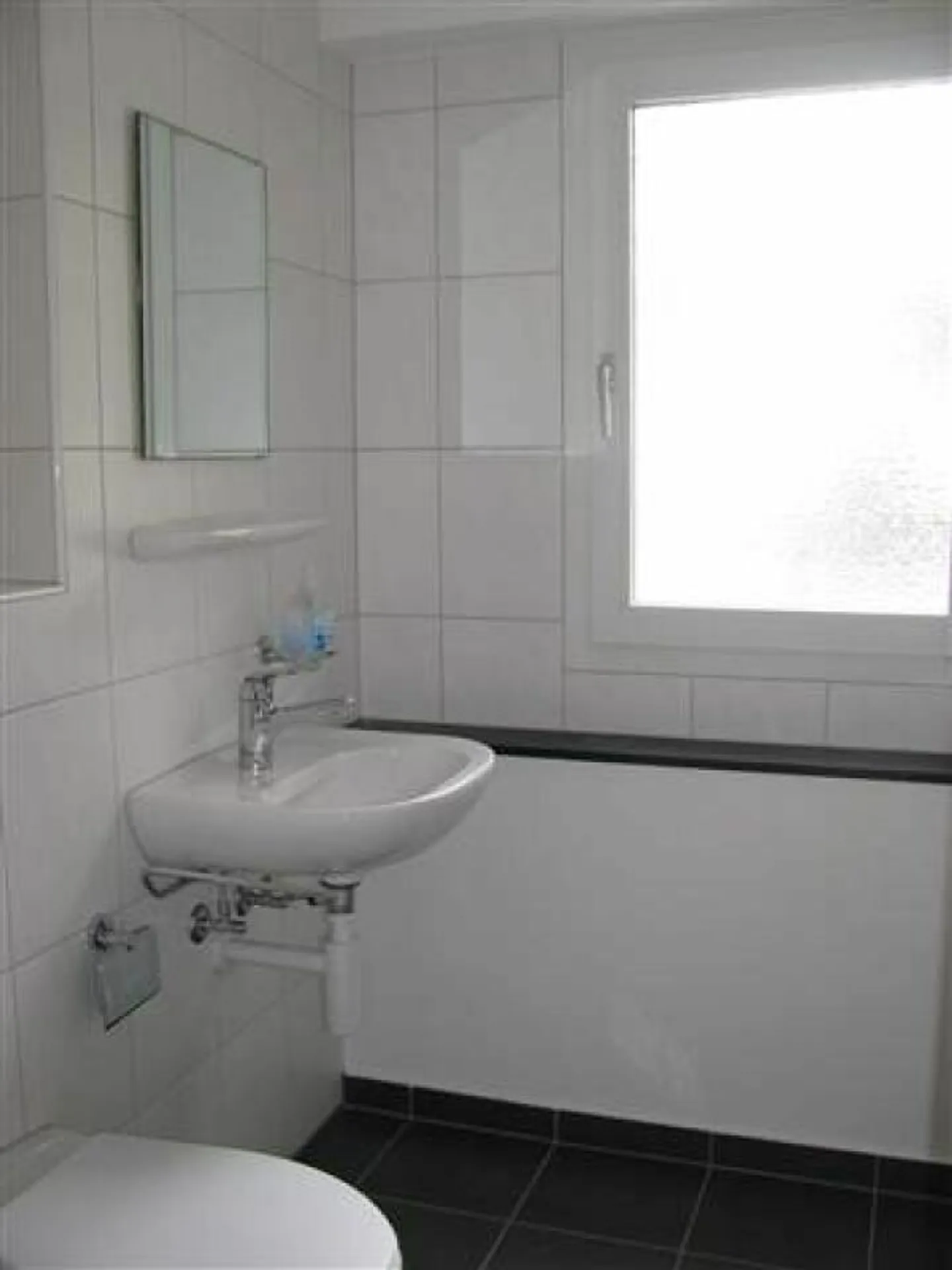 Espace Commercial de Premier Choix à Sargans - Photo 8 sur 8