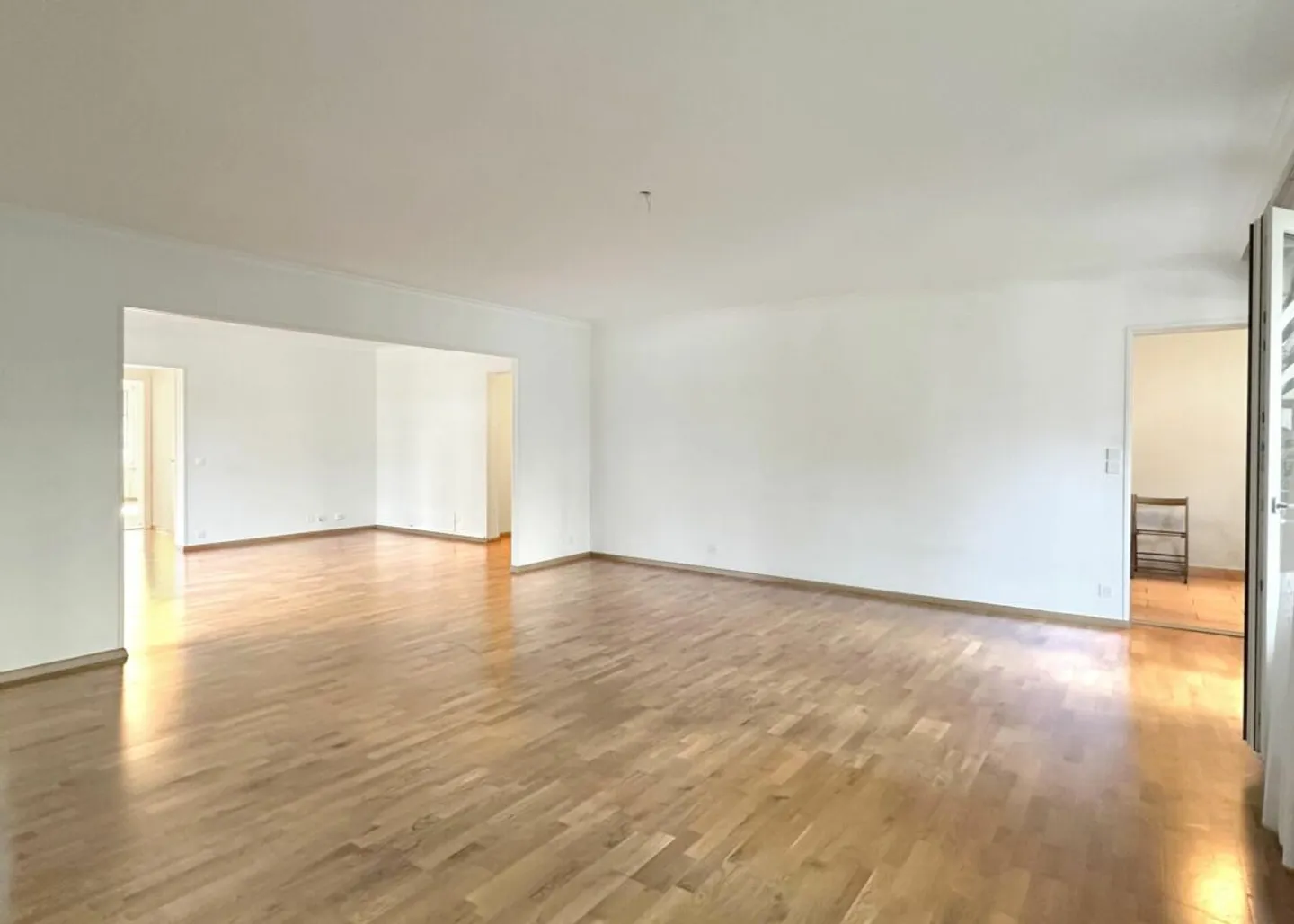 Investment Opportunity - 7-room Apartment in Geneva - Photo 10 of 13