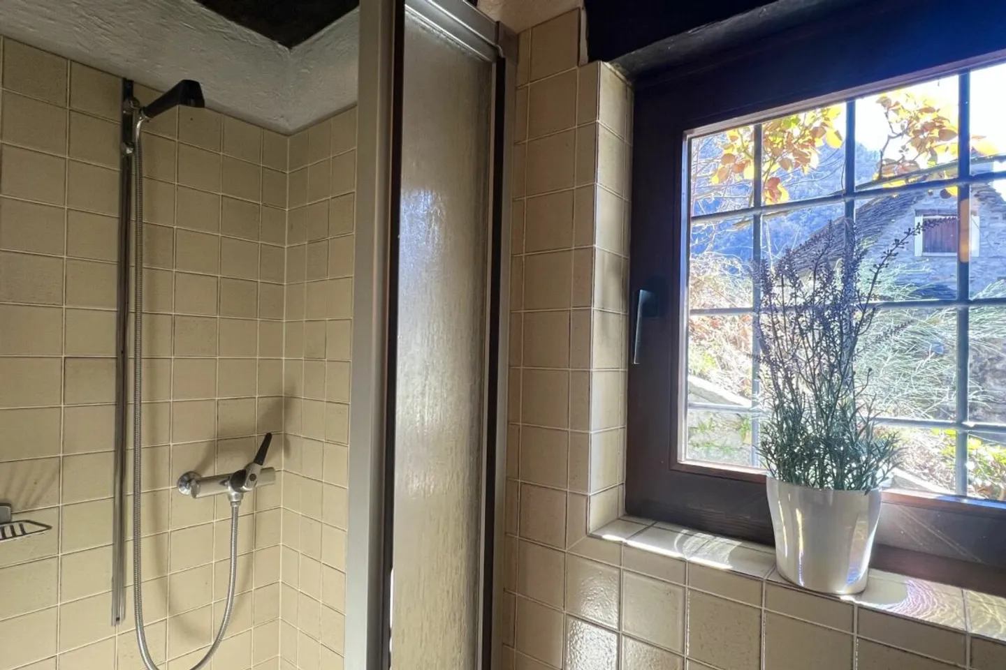 Charming Rustic House with Large Plot and Beautiful Lake View - Photo 12 of 13