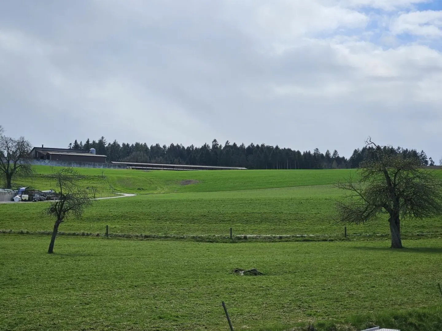 Neues 2.5-Zimmer-Loft - Foto 2 von 7