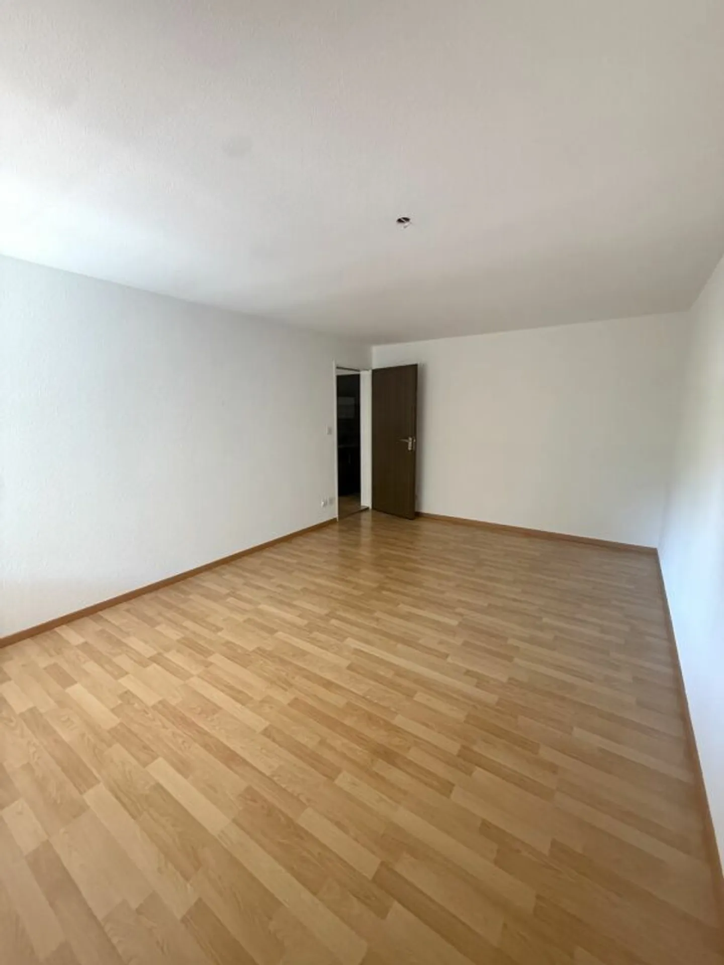Spacious 5.5-room apartment in a central location - Photo 5 of 13