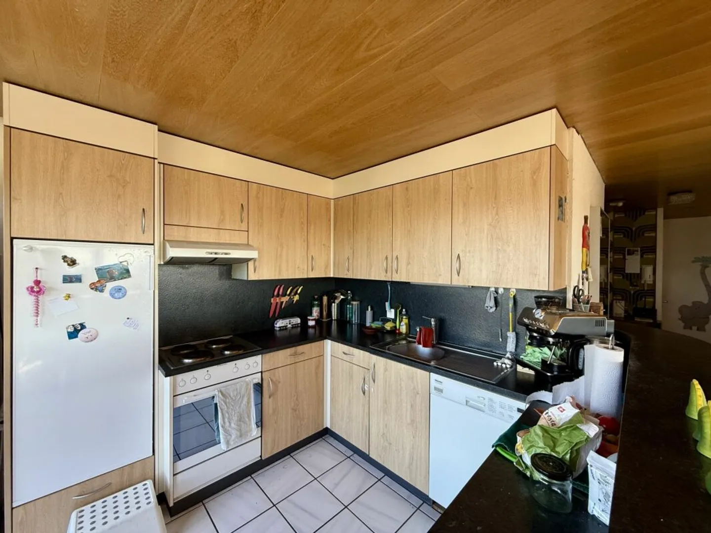 Ampio appartamento di 5,5 stanze con bella vista in una posizione centrale a Derendingen - Foto 5 di 13