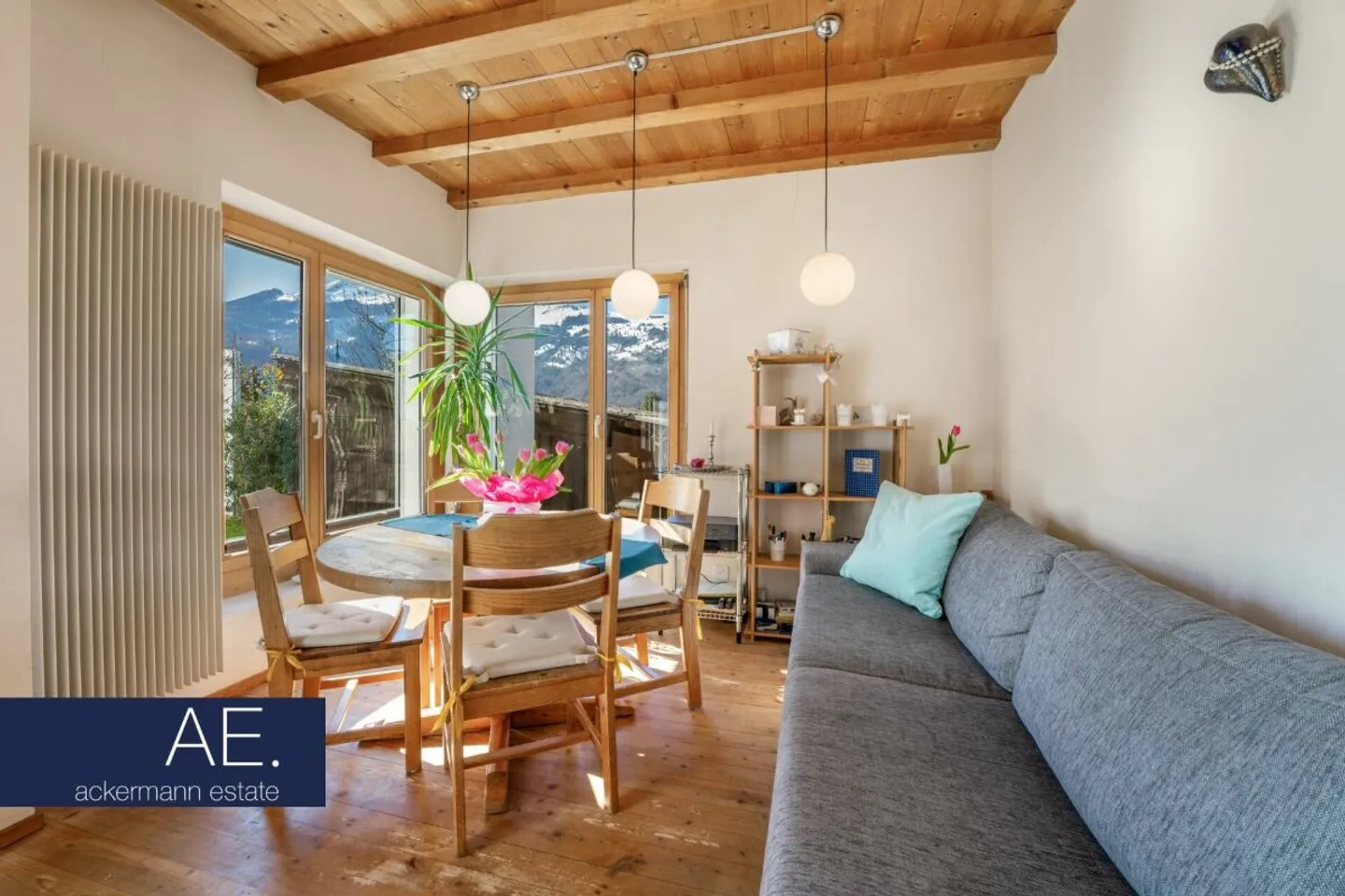 Living Happiness on the South Slope - Photo 4 of 11