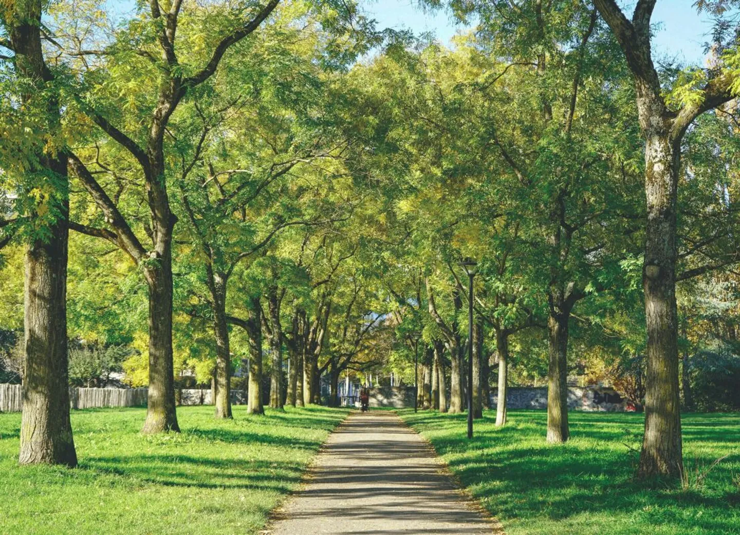 Appartement spacieux à Rive Gauche - Photo 1 sur 5