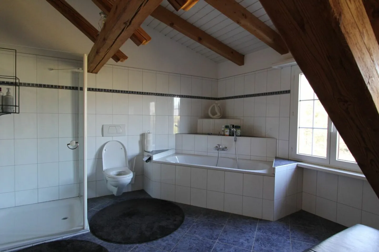 Unique 6.5-Room Country House with Apartment and Commercial Spaces - Photo 8 of 13