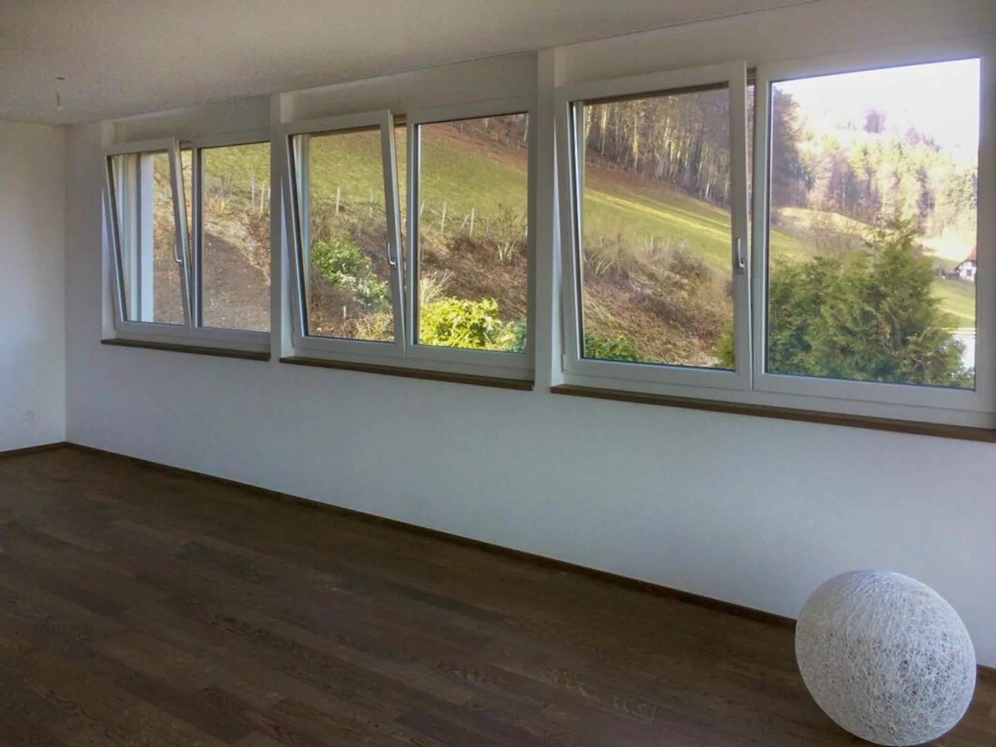 Appartamento 4,5 locali con vista libera - Foto 5 di 11