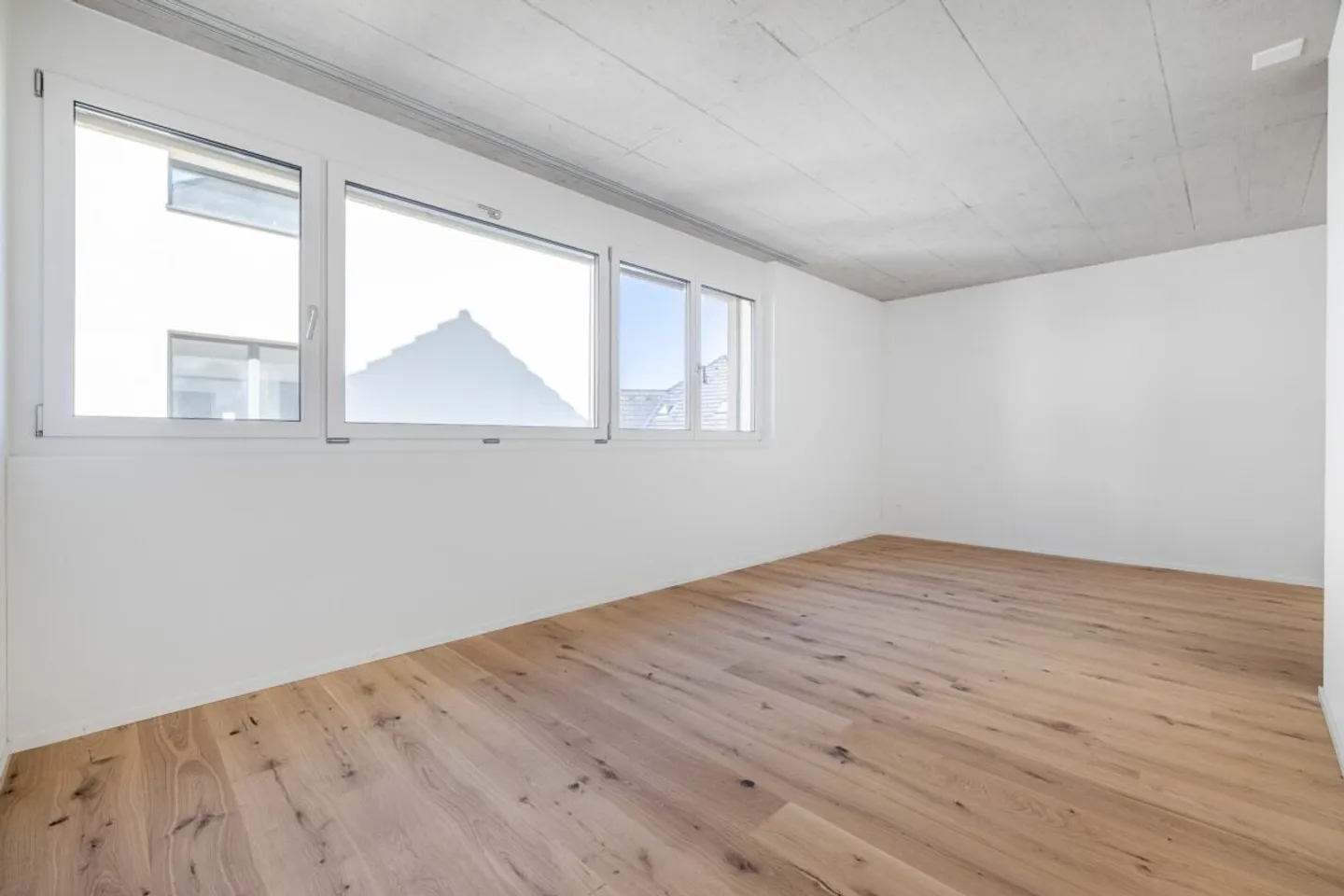 Vue dégagée sur le vert - grande maison individuelle de 6,5 pièces à Bätershausen (près de Kreuzlingen) - Photo 4 sur 11