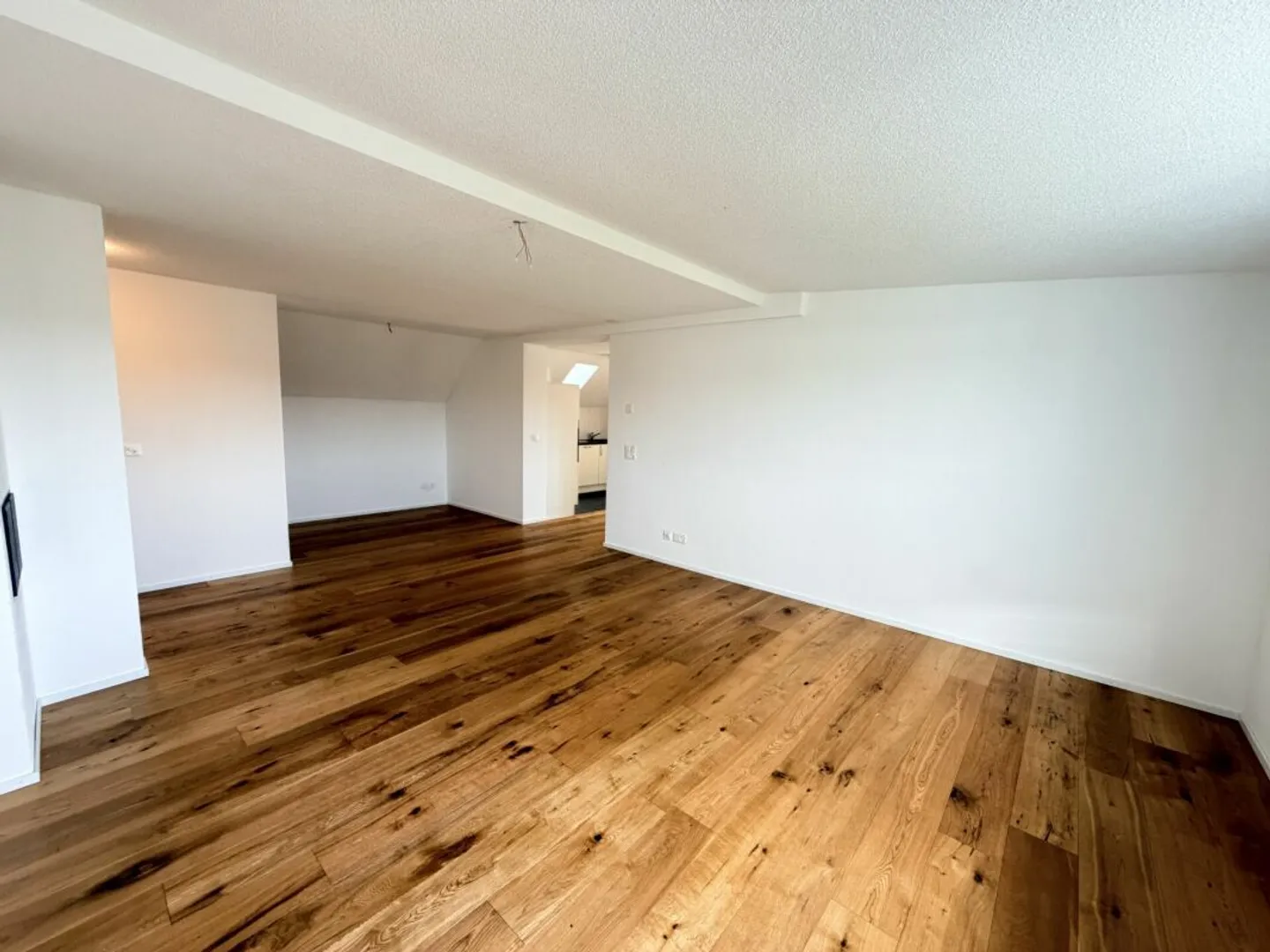 Appartement 5.5 pièces - Photo 4 sur 13