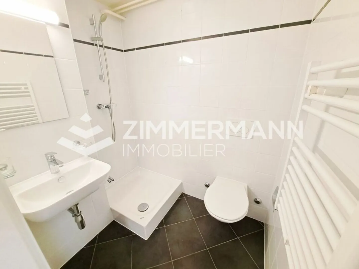 Bel monolocale a Borex! - Foto 3 di 3