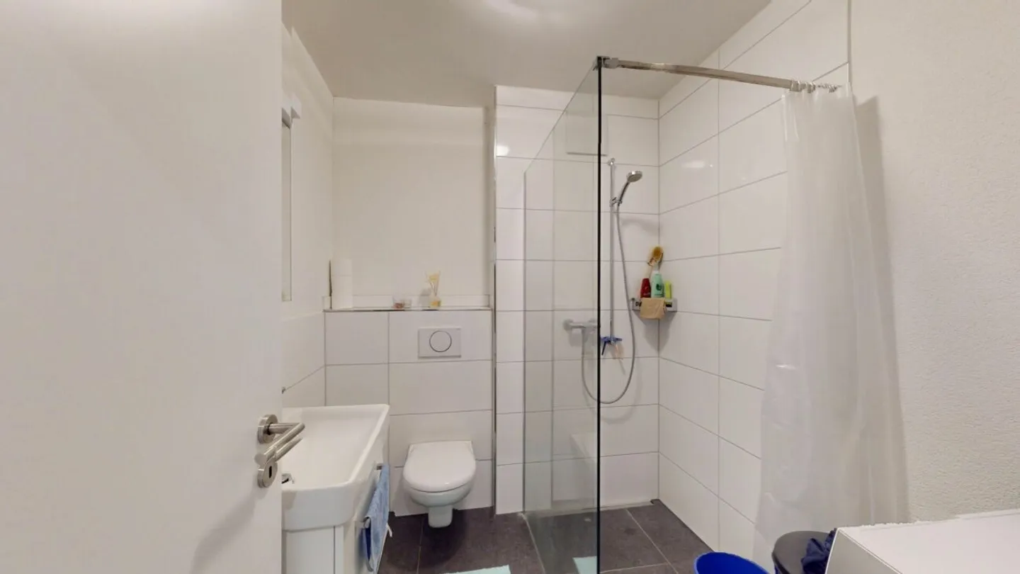 Appartamento di 4,5 stanze di alta qualità al piano terra a Oekingen - Foto 10 di 10