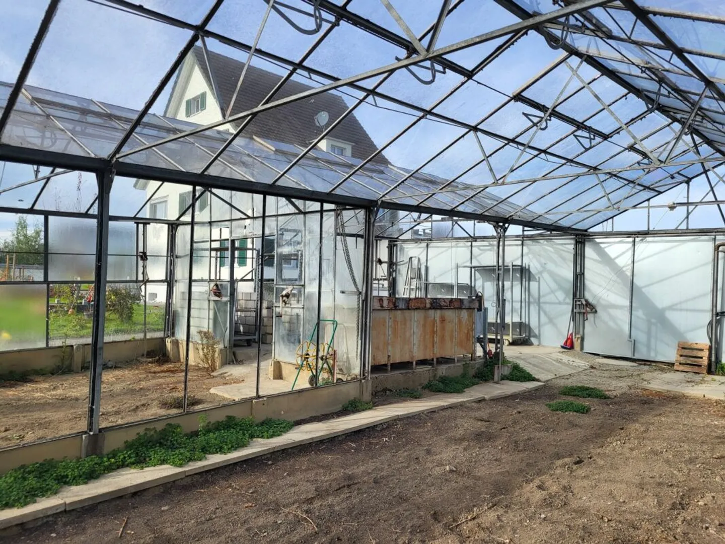 Large Greenhouses near Arbon - Photo 6 of 7