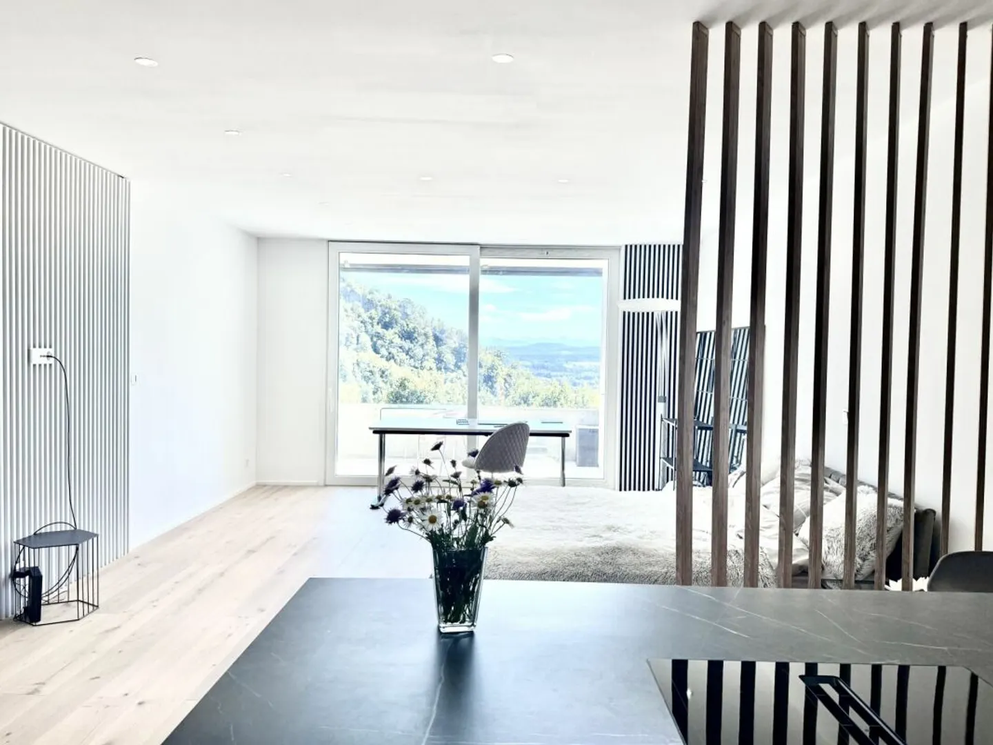 Completely renovated and high-quality modernized 1.5-room apartment with a magnificent view - Photo 2 of 13