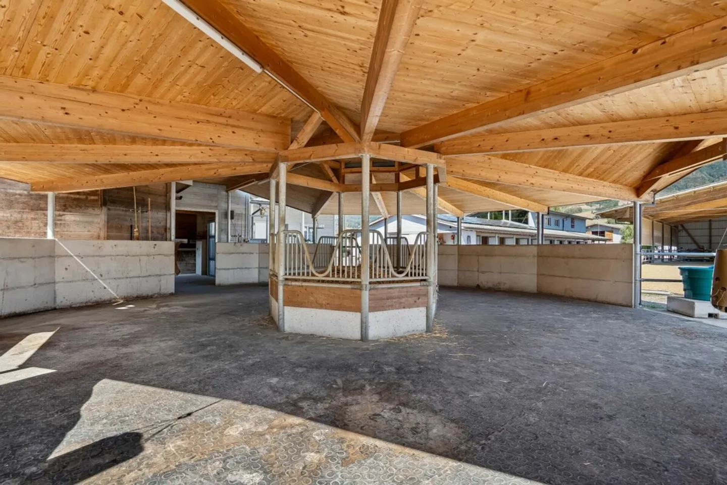 Versatile Equestrian Property with Residential House, Office Loft, and Semi-Covered Riding Arena - Photo 6 of 8