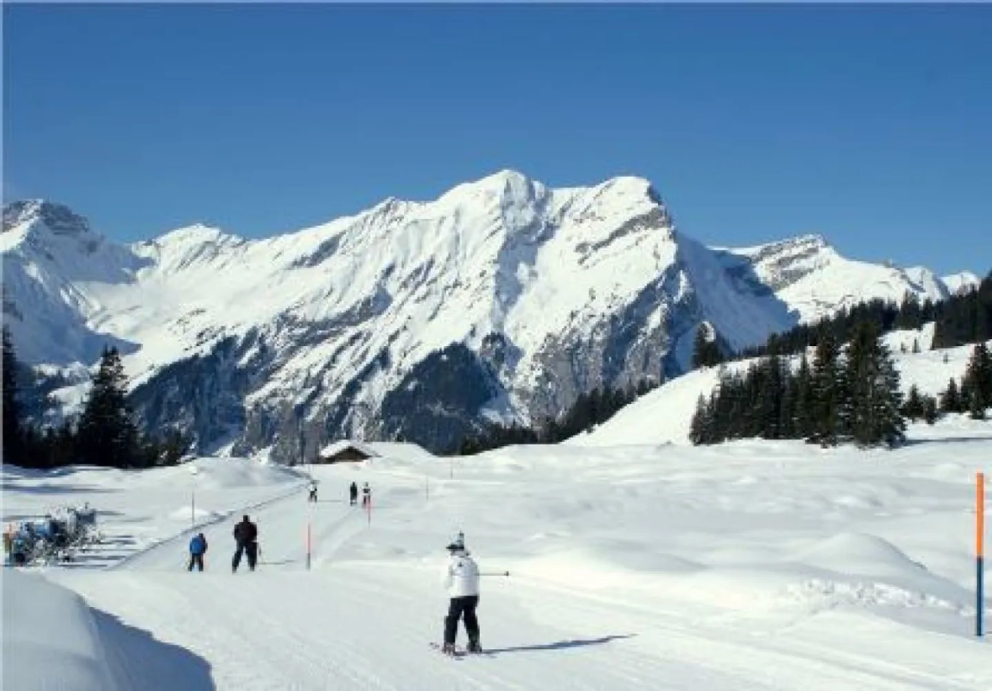 APPARTAMENTO VACANZE CIRCONDATO DA UN MONDO MONTANO MAGICO - Foto 12 di 12