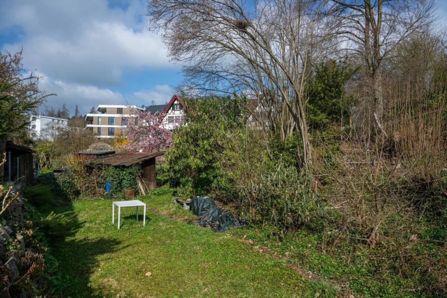 Amateurs de jardin, attention : votre nouvelle maison vous attend ! - Photo 9 sur 13