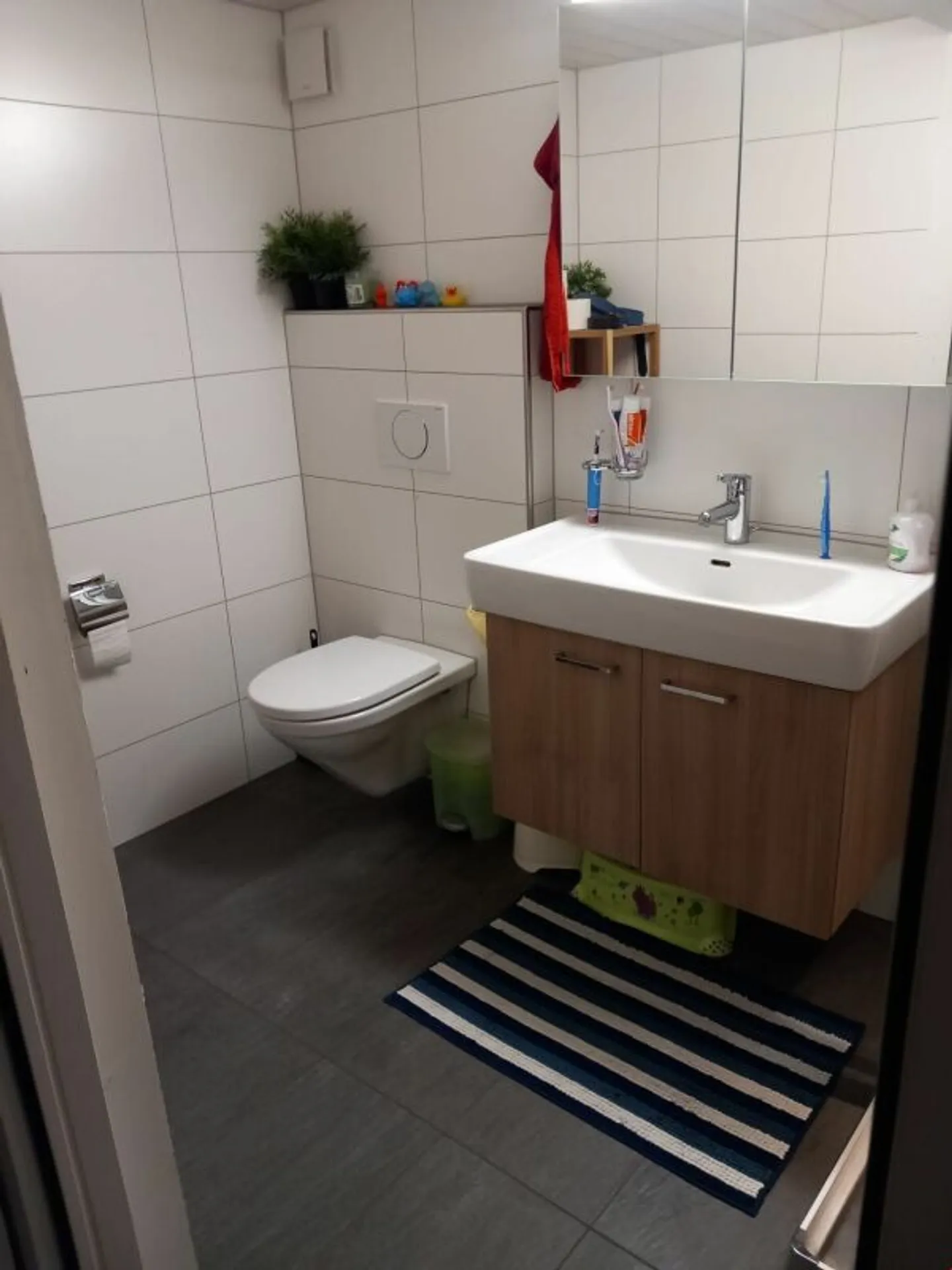 4,5 Locali Delizia di Campagna - Foto 3 di 13