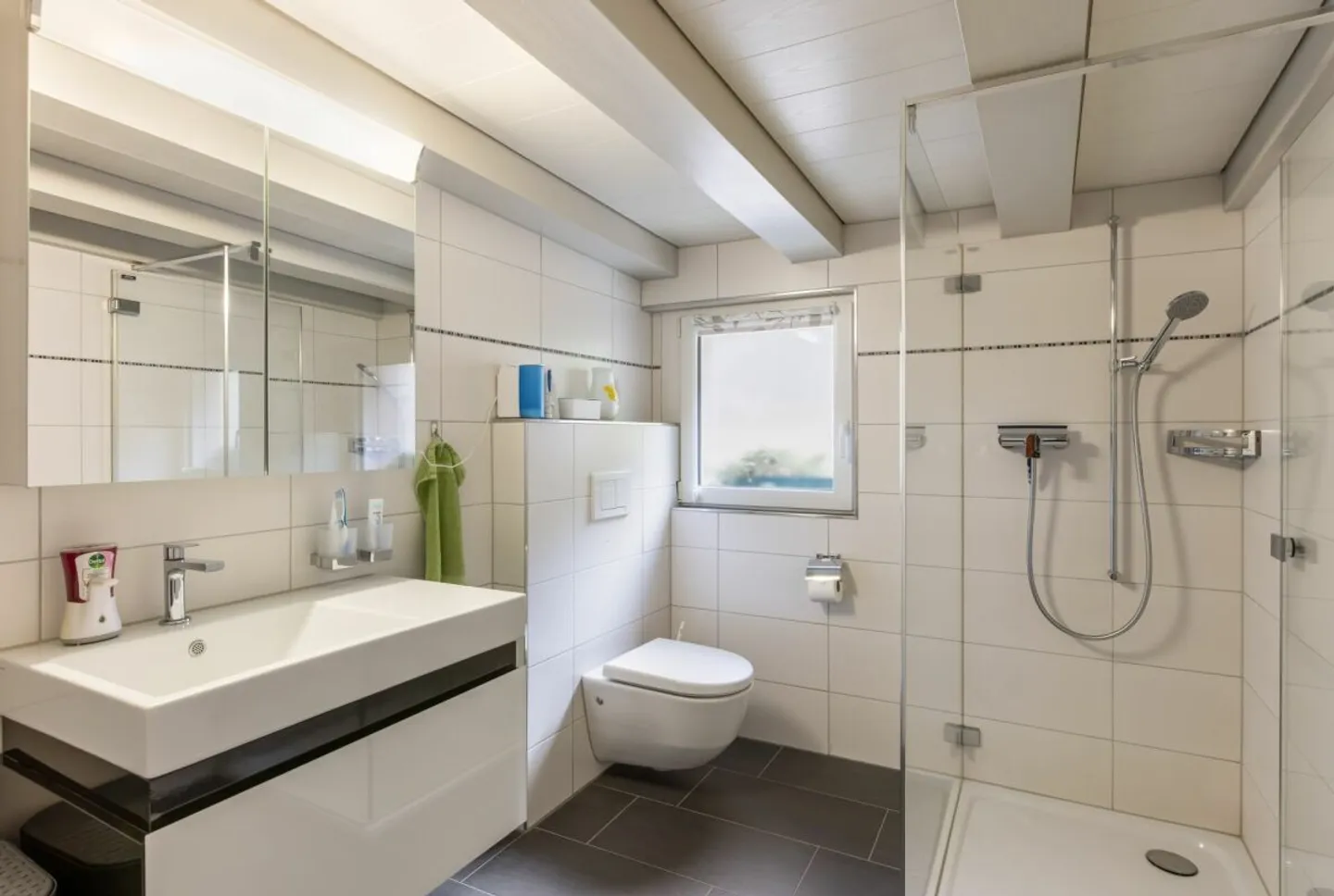 Beautiful Townhouse in Glarus - Photo 5 of 9