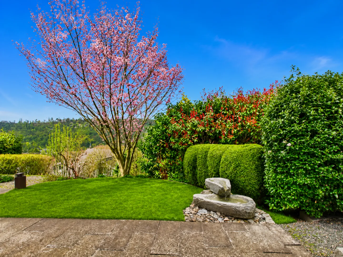 Open Living with Plenty of Space and Unobstructed Views - Photo 13 of 13