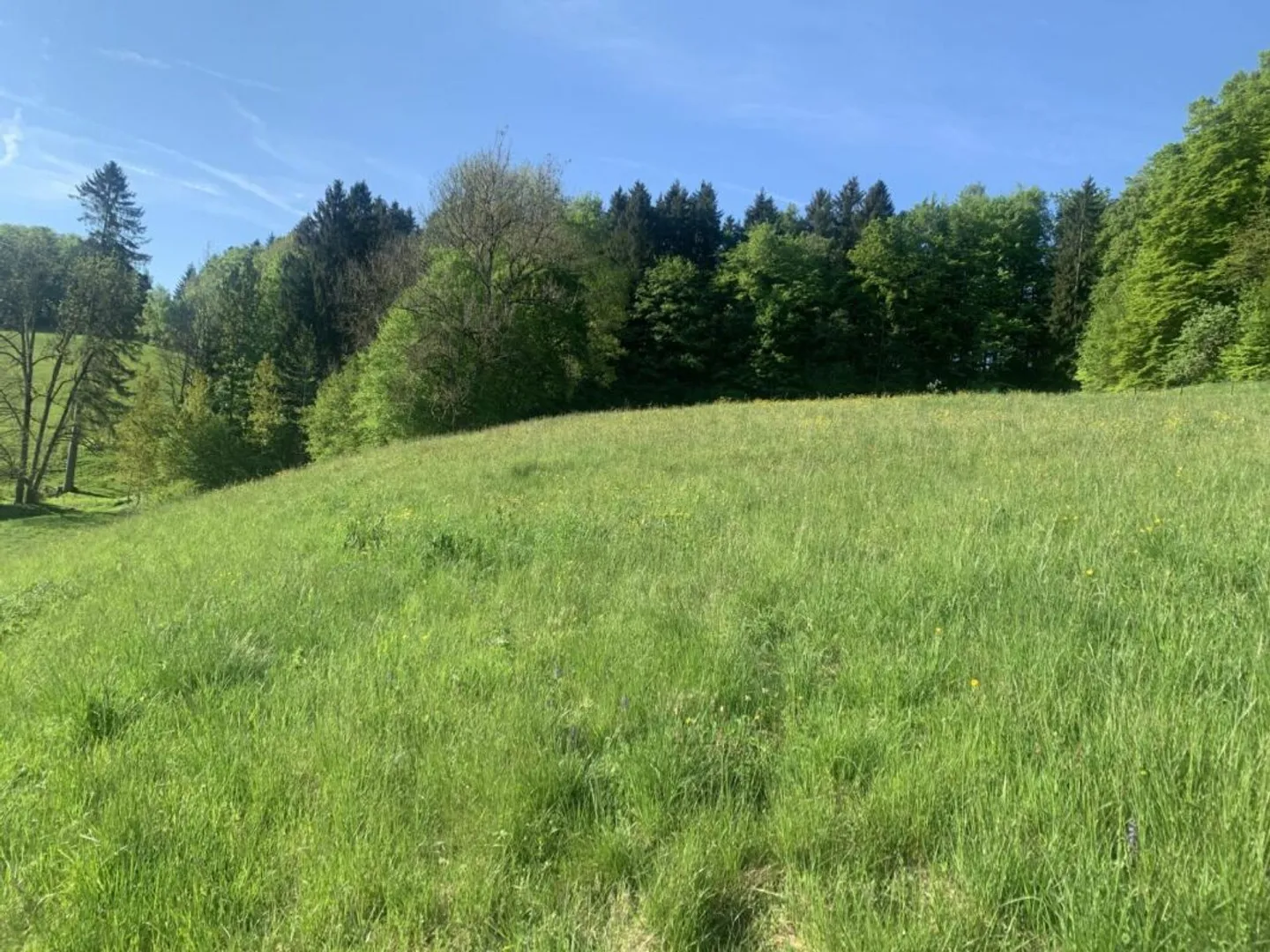 Terreno a Vallorbe - Foto 2 di 7