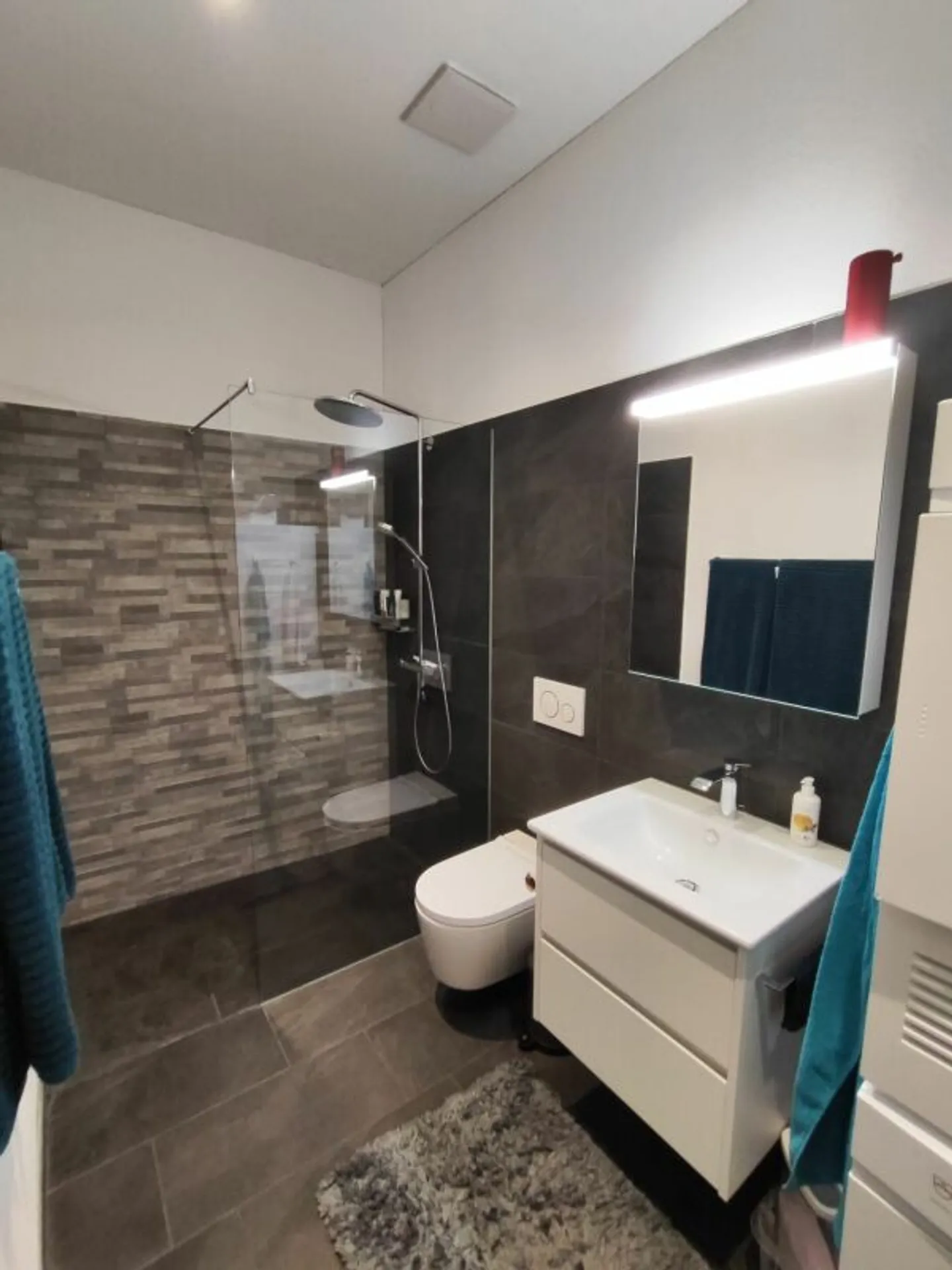 Modern 4.5 Room Apartment in Ossingen - Photo 8 of 8