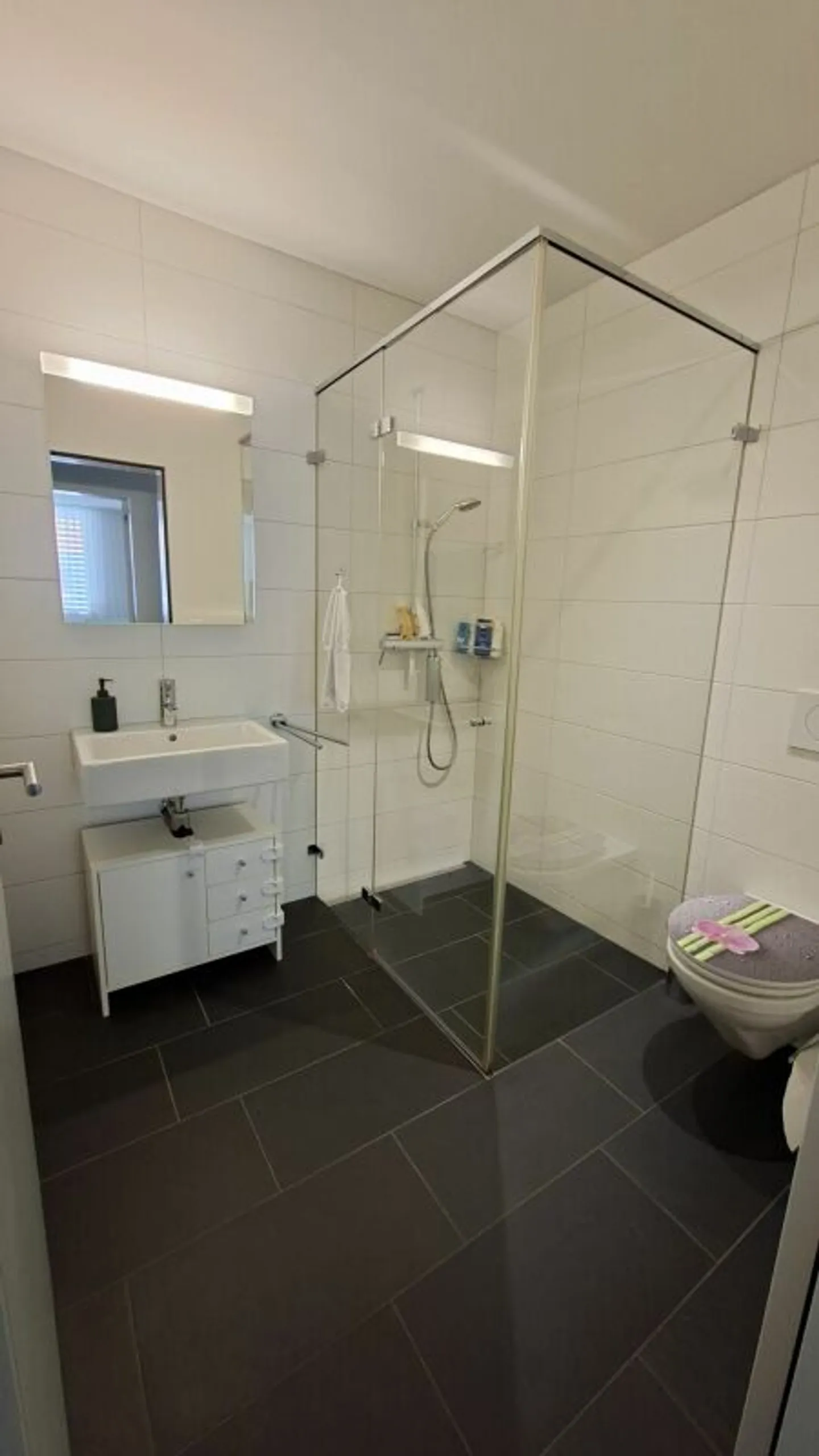Spacious 4 ½-room garden apartment in a beautiful residential area of Buchs-Räfis - Photo 7 of 10