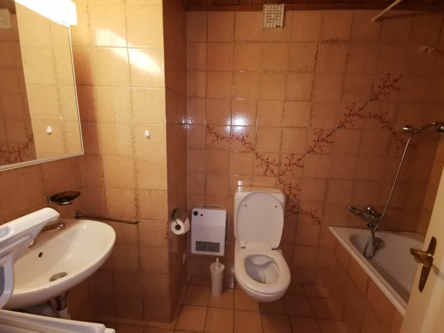 3.5-Zimmer-Wohnung mit atemberaubender Aussicht in Cazis - Foto 4 di 8