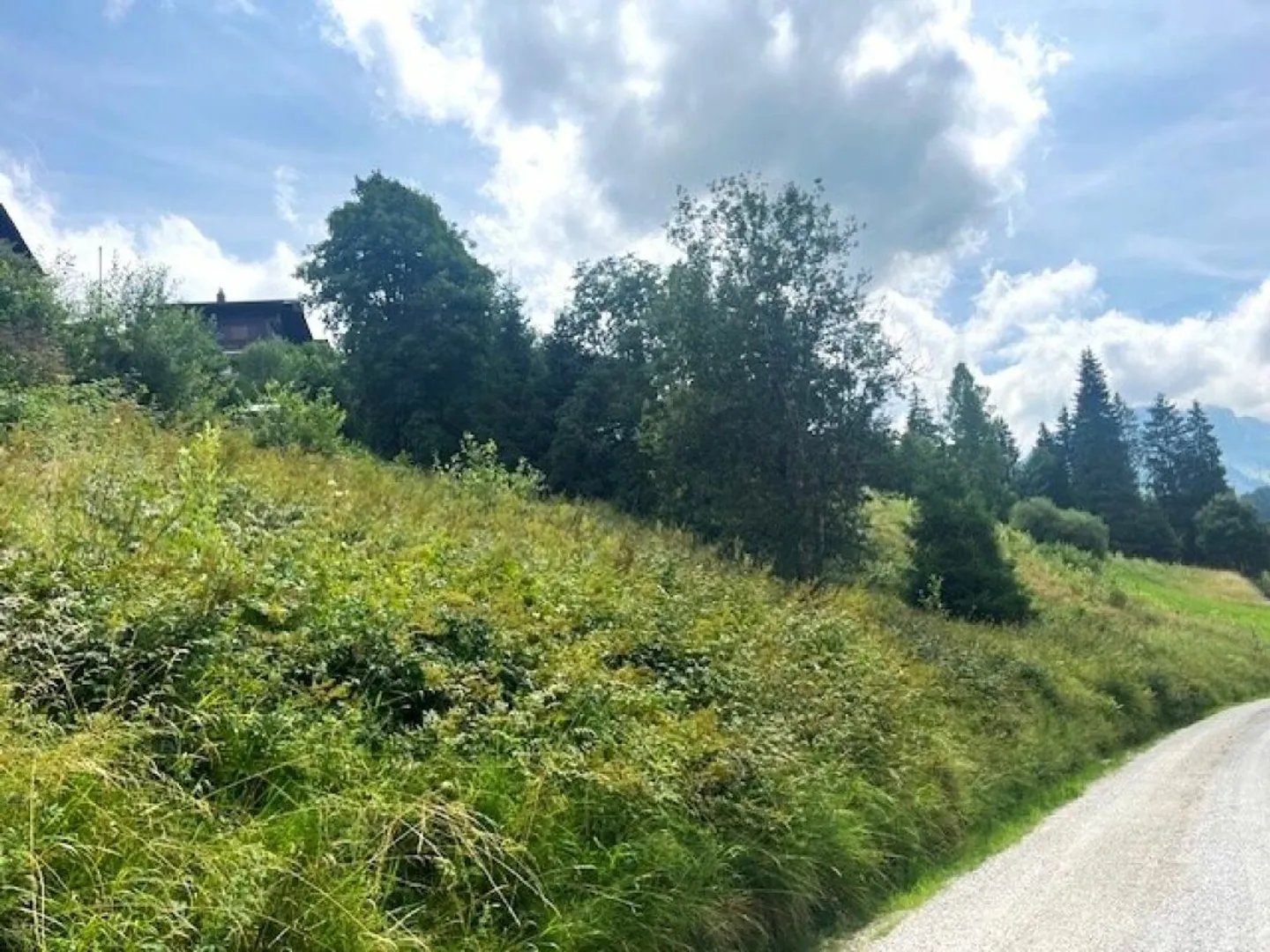 Terreno edificabile completamente sviluppato in posizione elevata a Plaffeien FR - Schwarzsee - Foto 4 di 13