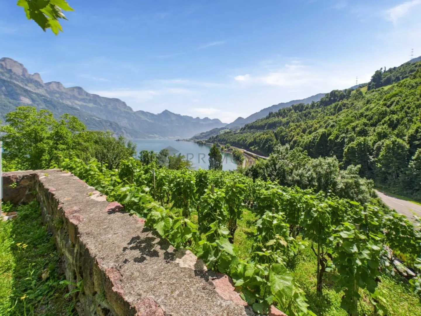 Hotel & Restaurant with Apartments, Vineyard and Building Land in Premium Location by Lake Walensee - Photo 11 of 13