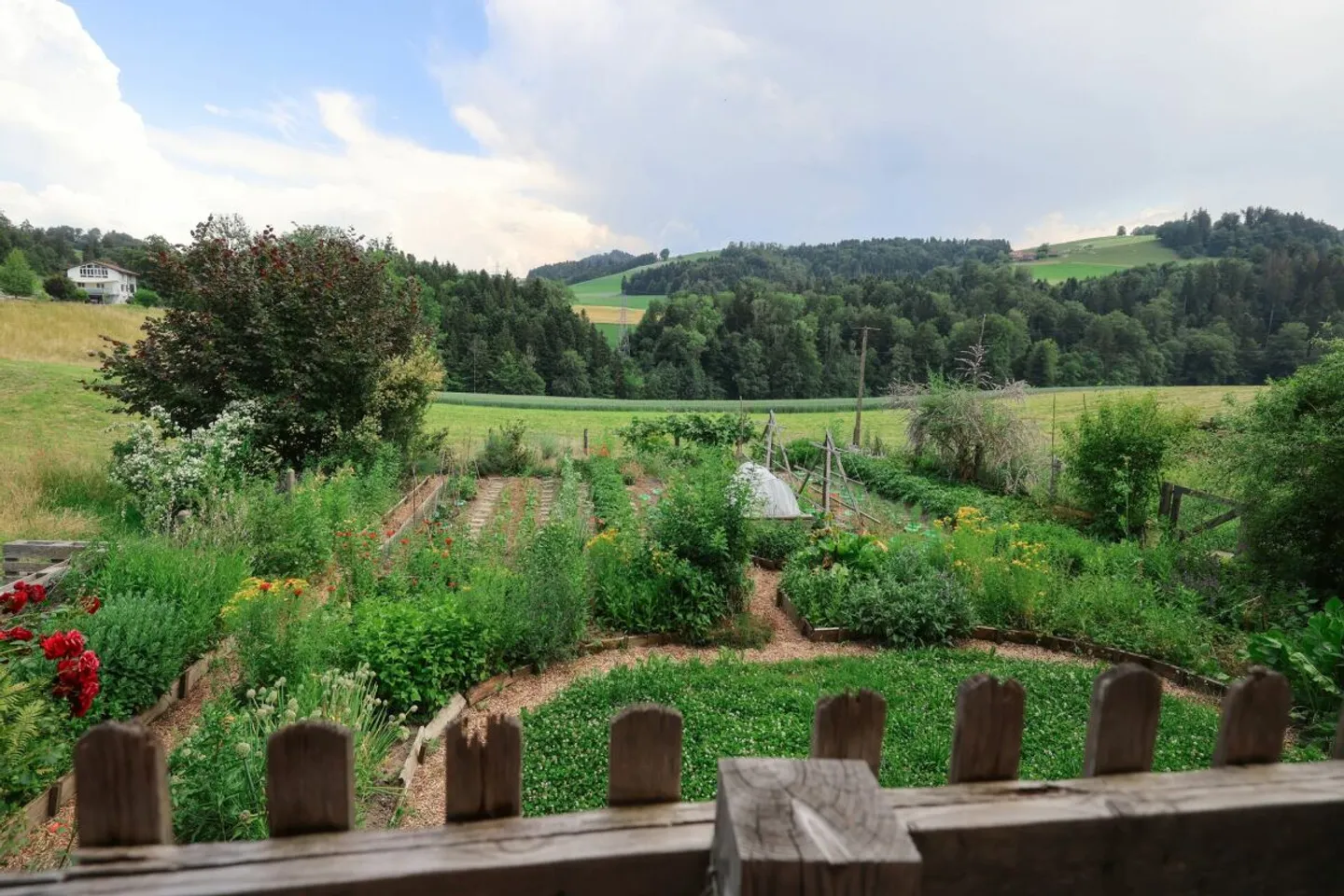 Ex fattoria con grande potenziale di espansione - Foto 12 di 13