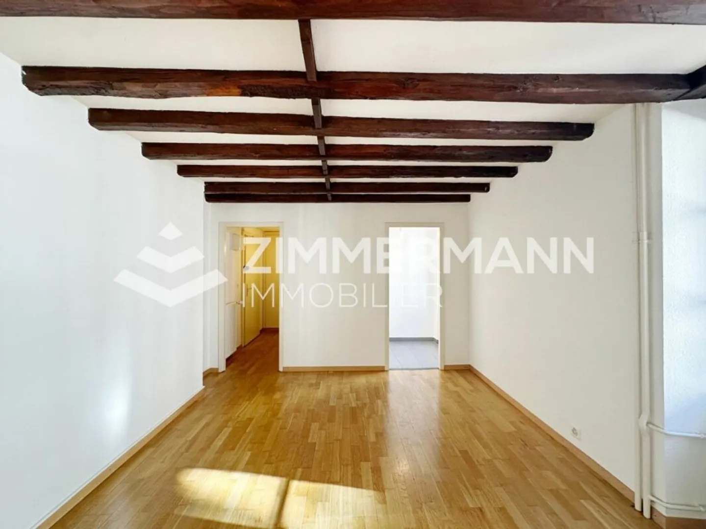 Old Carouge - Spacious studio with character! - Photo 1 of 5
