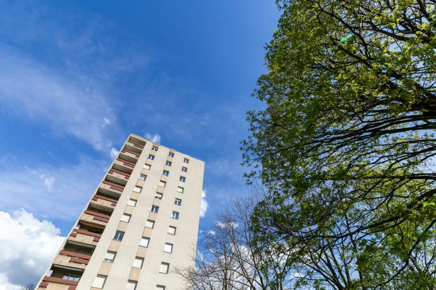 Attique de 2,5 p à rénover - Photo 11 sur 11