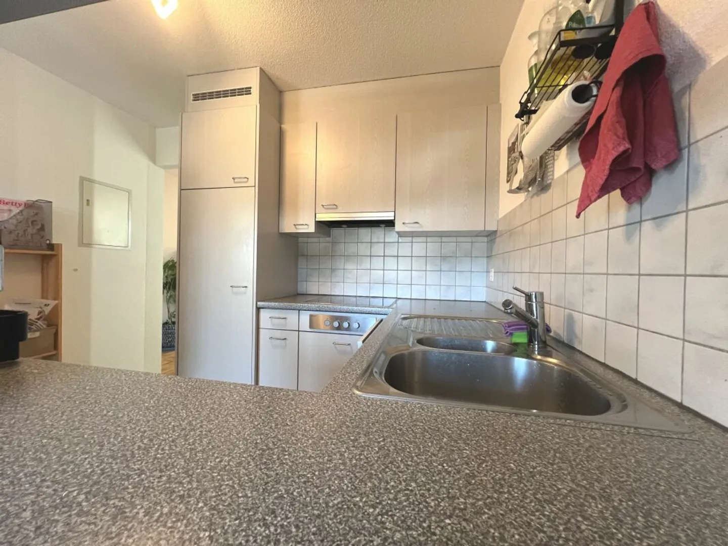 Appartement confortable de 4,5 pièces dans la verdure - Photo 3 sur 13