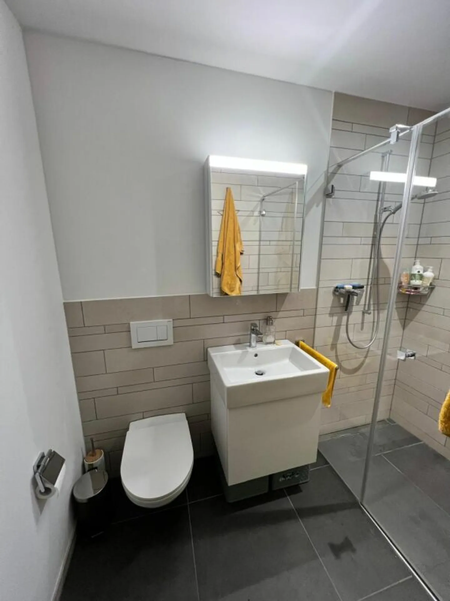 Modernes Studio in Flims - Foto 3 von 12