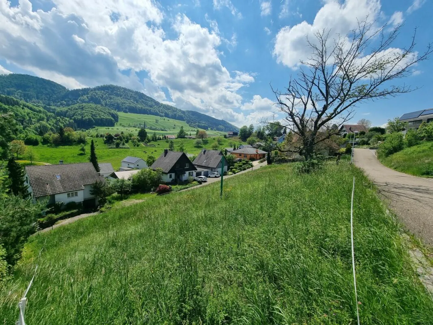 Dream plot on the south-facing slope of Bretzwil! - Photo 1 of 11