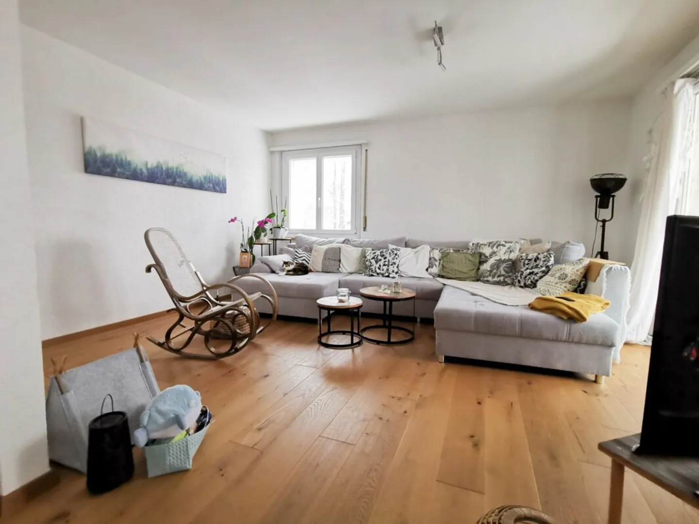 Stunning 4.5-room apartment in a quiet environment - Photo 2 of 13