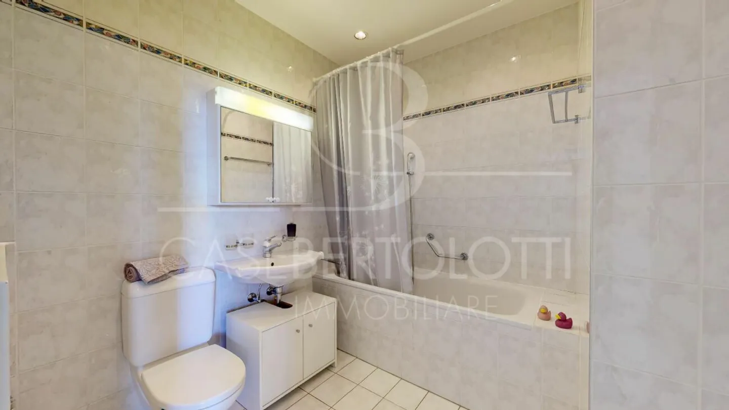 Charming Apartment with Lake View - Photo 13 of 13