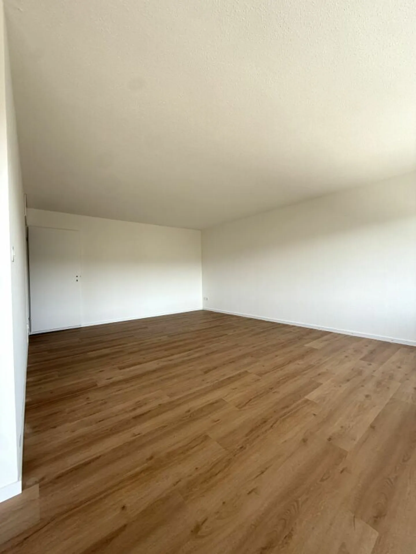 Partially renovated 4.5-room apartment with attractive layout - Photo 2 of 10